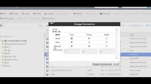 How do I Change Permission of files in my web site via cPanel File Manager ?