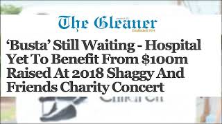 Shaggy Allegedly stole $100 Million Dollars from Charitable Funds **this what happened**