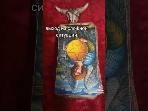 Выход из сложной ситуации #аграфина #shorts