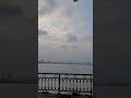 đạp xe Hồ Tây chill cùng mình nhá #shorts #viral #hanoi #vlog