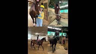Completely dif barn too…. #viral #horse #equestrianjourney #pony #love #barn #fypシ #missyou #gelding