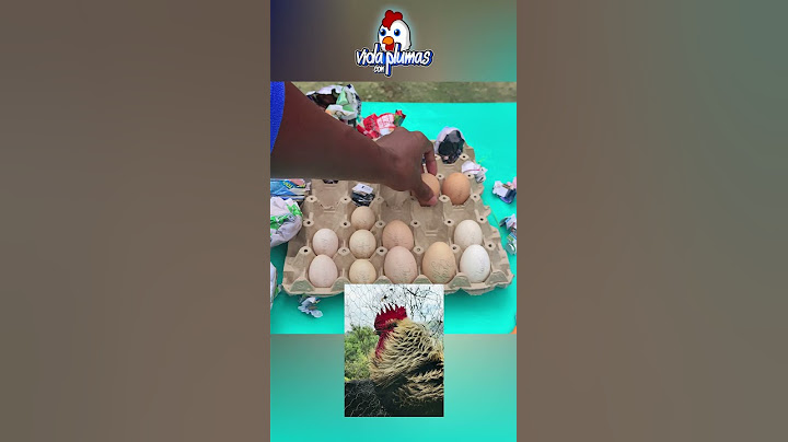 Huevos fértiles comprados en Internet 😱