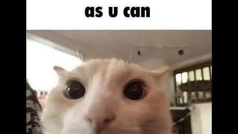 My Part in Shitty Poocubed (BEST PART YET) || Hosted by @asmallsock