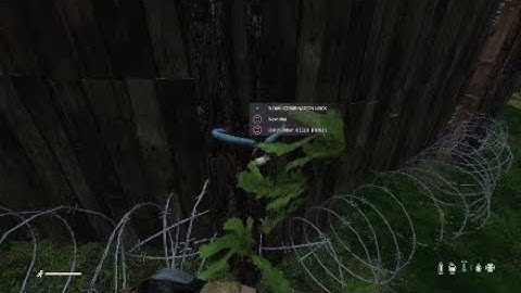 Dayz combination Lock *