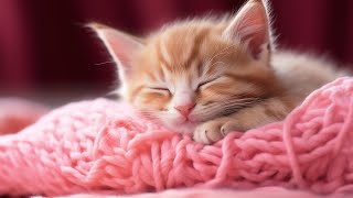 Music for Nervous Cats - Soothing Sleep Music, Deep Relaxation Music For Your Pet