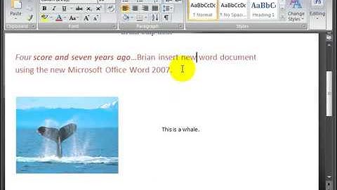 Microsoft Word 2007 ENG TB 02 03 Text Navigation   YouTube