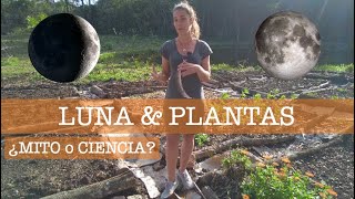 CALENDARIO LUNAR: mitos y verdades by Mi Jardin en el Desierto 25,332 views 8 months ago 22 minutes