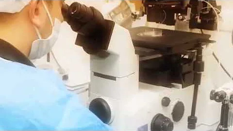Inventing an HPV Vaccine - Douglas Lowy & John Sch...