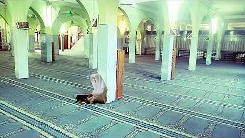 الحزب 1 كاملا برواية ورش بصوت محمد مطار