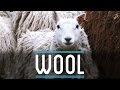 Wool | How To Make Everything: Suit (3/10)