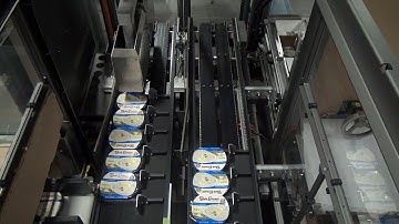 42611 BluePrint Automation (BPA) Robotic Top Load Case Packer