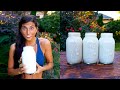 3 Delicious Nut Milk Recipes You MUST Try | Plant-Based & FullyRaw Vegan