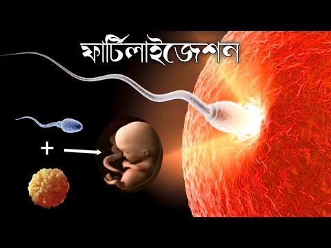 ভিডিও: বাহ্যিক নিষিক্তকরণ কীভাবে হয়?