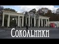 Парк Сокольники  в Москве