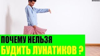 Почему нельзя будить лунатиков?