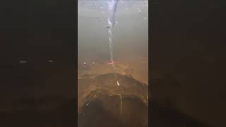 a strong underwater vortex in murky river water