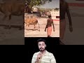 इस एक बीमारी ने पूरे देश को बर्बाद कर दिया
