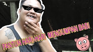 Tangga Terbelah (Hari Hari Mengumpan Babi) Cover chords