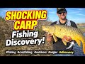 “I Didn’t Expect THIS Fish in a Tiny Creek!”