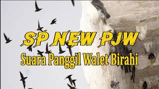 SP NEW PJW, SUARA PANGGIL WALET SANGAT CEPAT MENGINAPKAN BURUNG WALET 2024