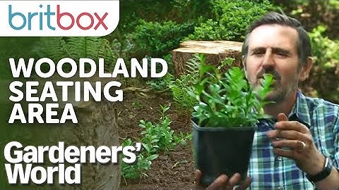 Creating Your Own Woodland Seating Area | Gardeners