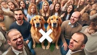 Golden Retrievers🐶 Vs Society people👨‍🎤 ! President ne NOTICE de dia to dispose the dogs 😖 by Aman and Bully 18,670 views 3 months ago 31 minutes