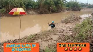 Mancing ikan kepis sungai citarum Allhamdulilah masi ada yg mau di ajak pulang..
