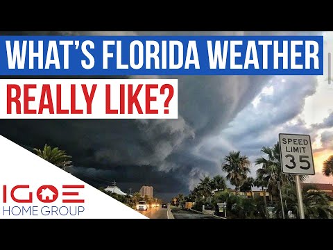 فيديو: Fall in Florida: دليل الطقس والأحداث