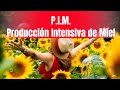P.I.M. Producción Intensiva de Miel