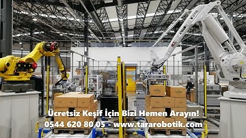 Koli Paletleme Palletizer Robot   ABB FANUC - TARA Robotik Otomasyon
