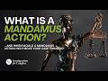 Mandamus Lawsuit for Immigration Delays | When Should You File? | U.S. Immigration Insights