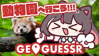 【GeoGuessr】かわいい動物に癒されたい！全国の動物園をGUESS【ホロライブ / AZKi】