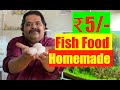 5 ₹ Fish Food for all Aquarium Fish | HOW to make and Feed Steamed Egg in Fish Tank | Homemade DIY