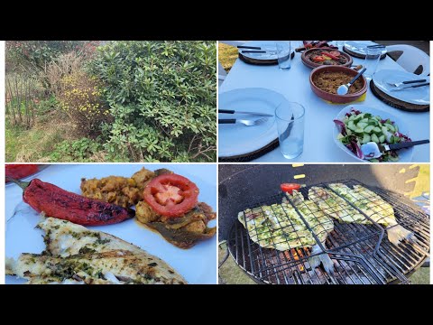 Video: Zomerse salades en de lekkerste recepten met foto's