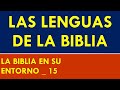 Las Lenguas de la Biblia Según La Biblia en su Entorno  _15