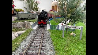 BW Gartenbahn - Fahrtag - Mit dem GMP nach Spechtritz - LGB PIKO