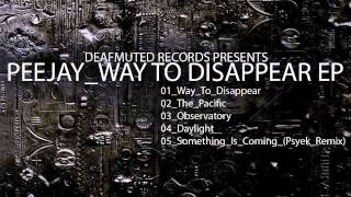Peejay - Way To Disappear Dfmtd006