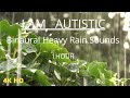 Autism, ADHD and Aspergers Calm Sensory Relaxing Music: 1Hour Binaural Heavy Rain Sounds for Sleep