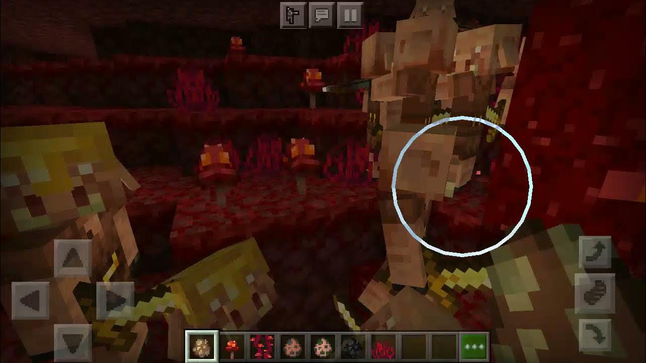 Baby Piglin menaiki Baby Hoglin YouTube