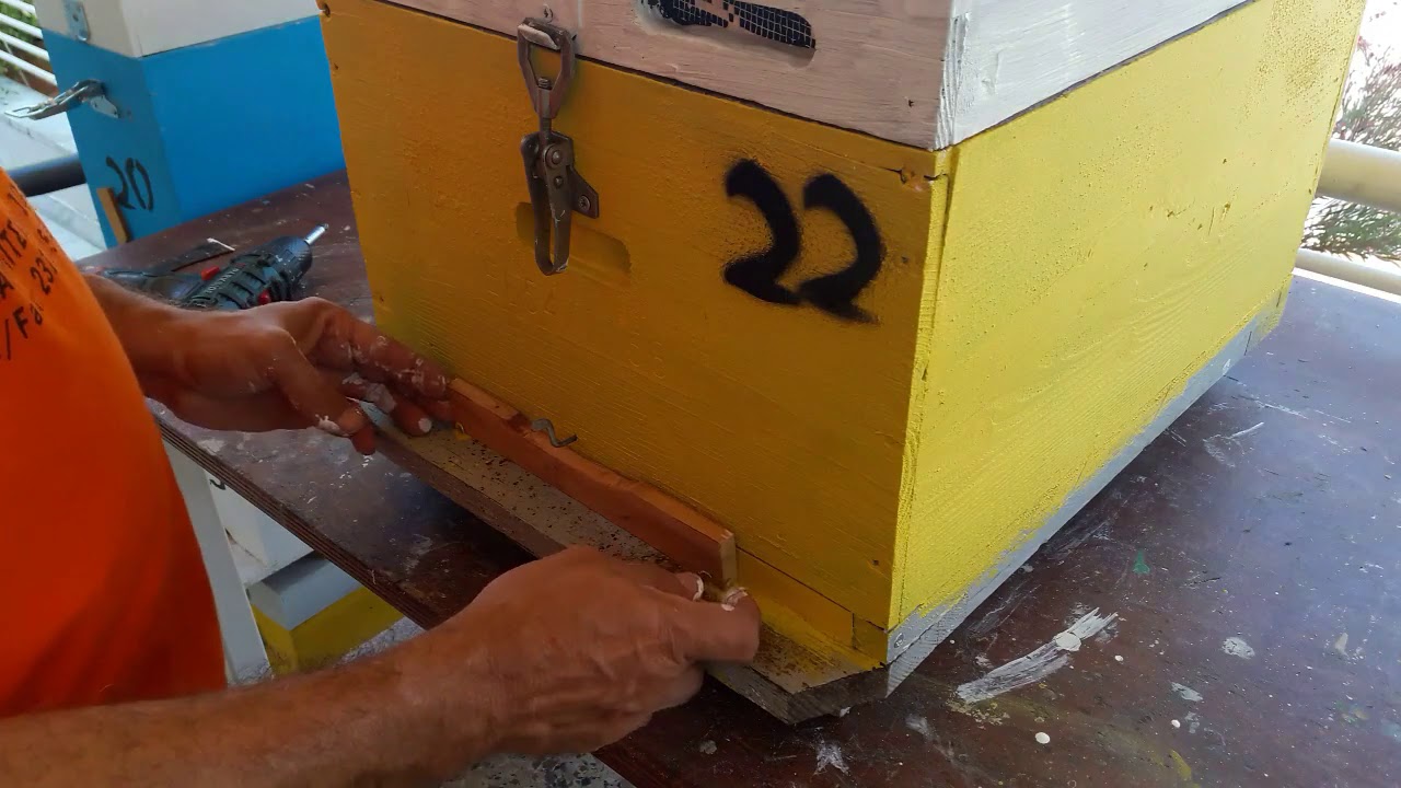 Τροποποίηση κυψελών