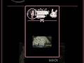 #blackpink #music #اكسبلور #bts #blackpinksongs #kpop #twice #blink #duet #kpopmusic