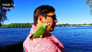 Walk With My Pet Parrot