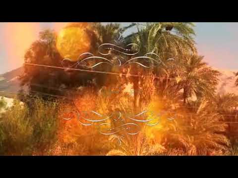 بحر الموده