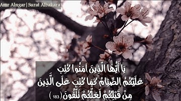 آيات الصِيام .. " سُورة البَقَرة " تلآوة هادئة. 🎧 🌸