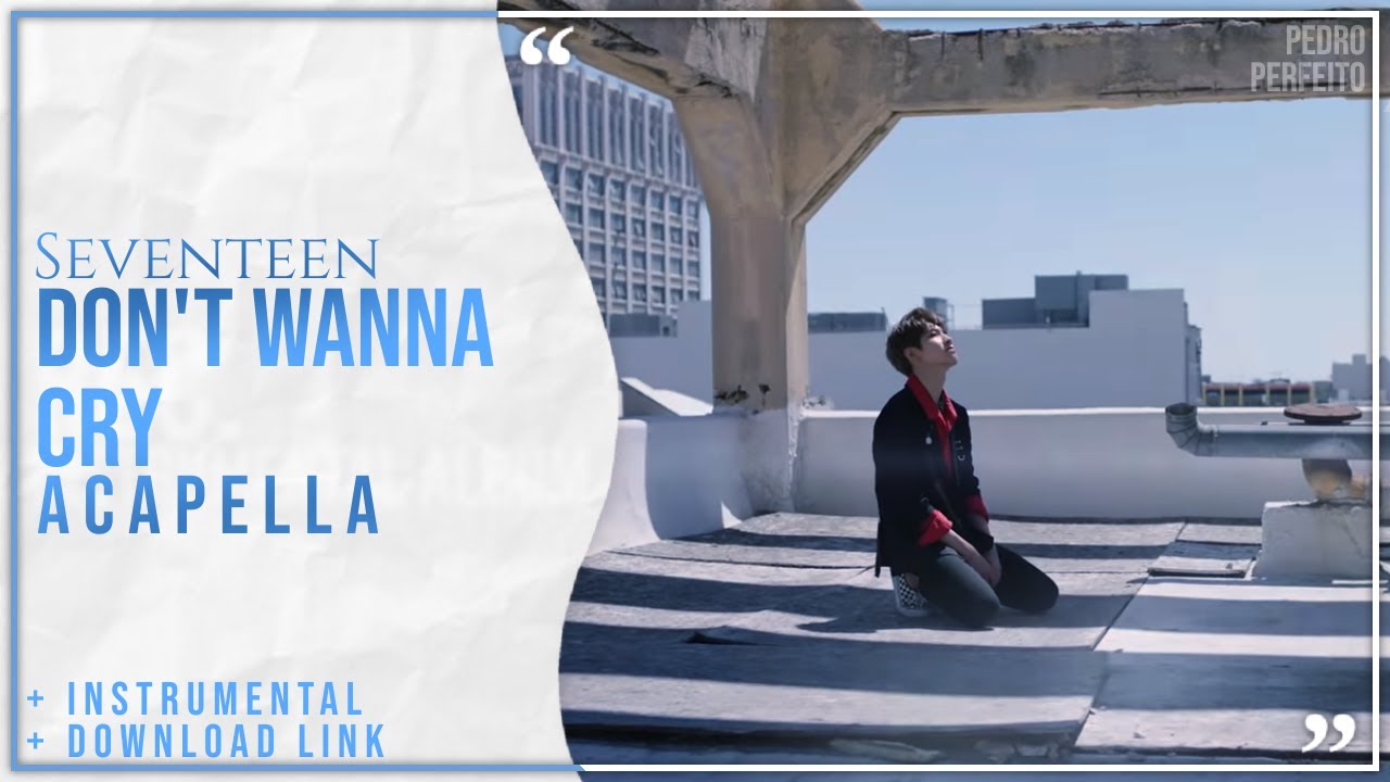 SEVENTEEN - Don't Wanna Cry (99% Clean Acapella + DL + Instrumental)