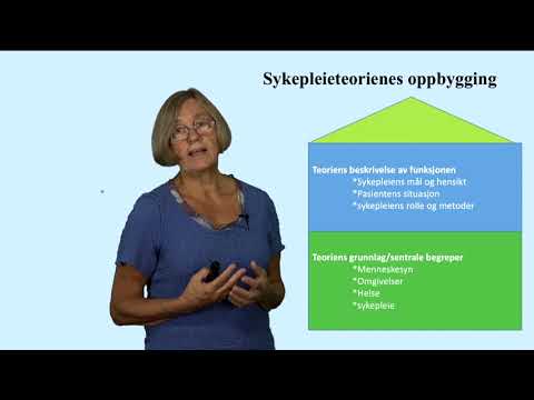 Sykepleie som profesjon