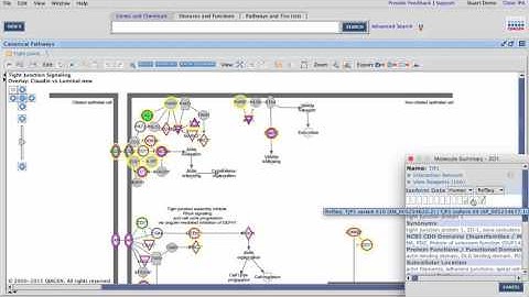 Isoforms and RNAseq in IPA