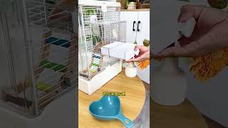 OMG! 😳 My Parrot Got Scared of THIS Funny Parrot Reaction#Shorts #parrot #birds