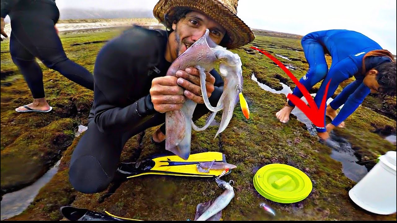 احسن طريقة لصيد سمك الأغنياء بنفسك  😱 الكلمار غادي تولي حرايفي في صيد