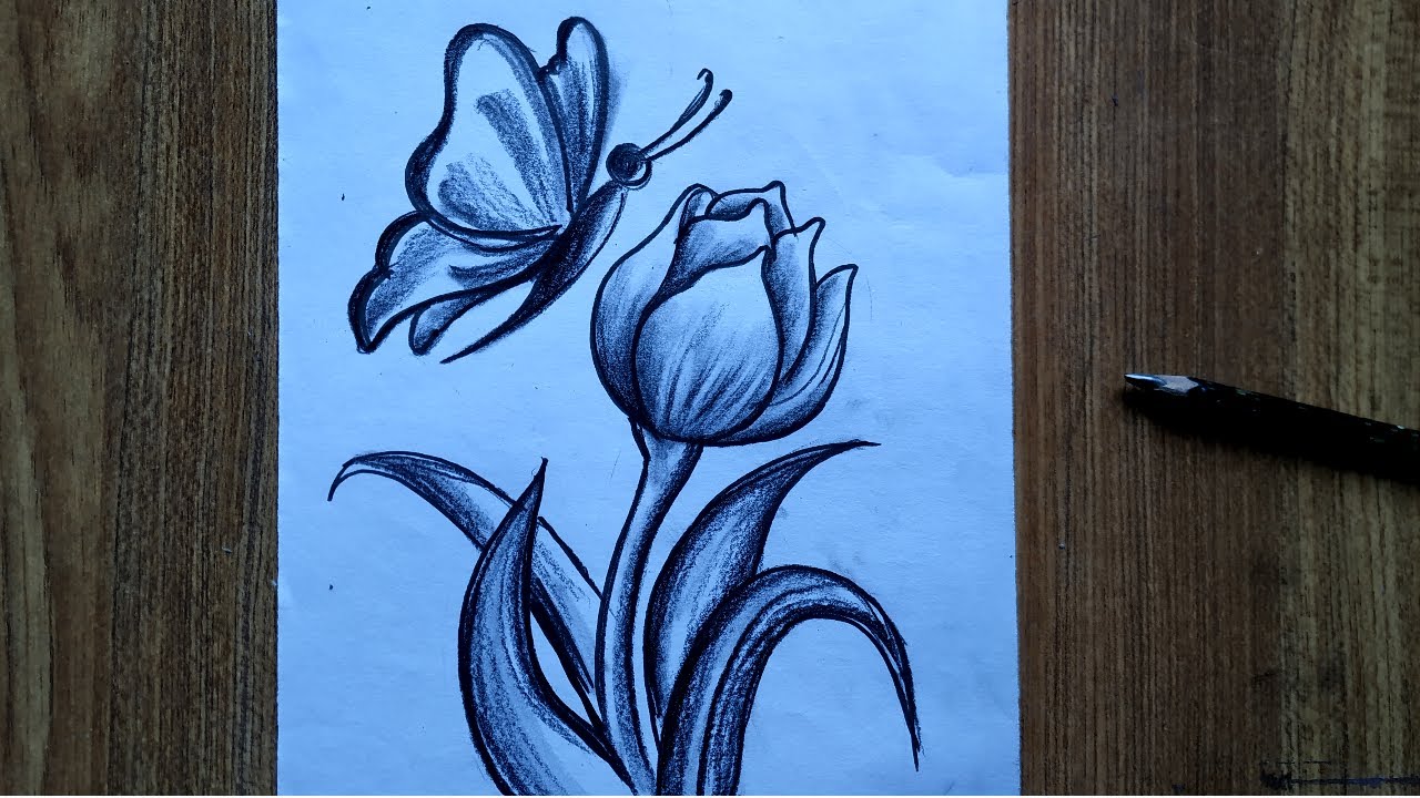 Featured image of post Pencil Flower And Butterfly Drawing